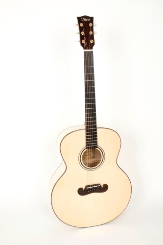 Pablo Vitaso VSG-100S