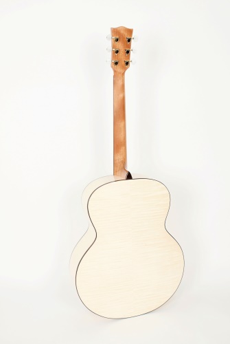 Pablo Vitaso VSG-100S
